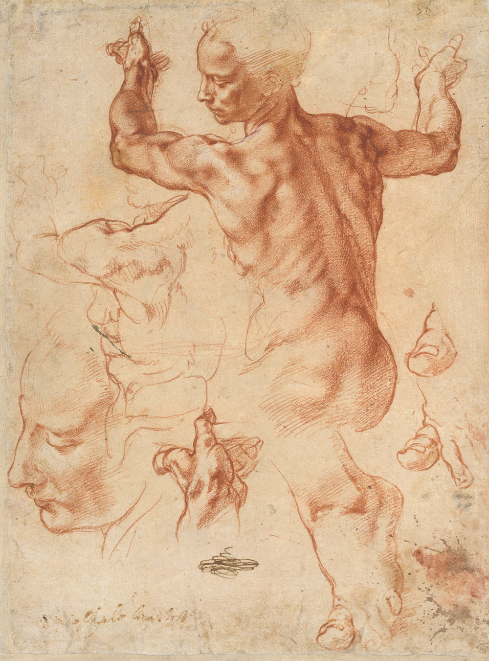 Michelangelo Sketch